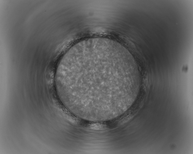 X0000114730708200911121754
