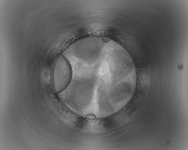 X0000114730709200911121754