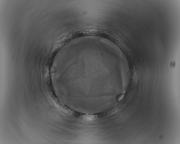 X0000114730711200911121754