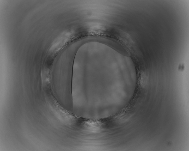 X0000114730712200911121754
