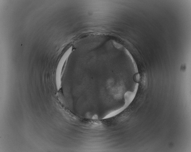 X0000114730715200911121754