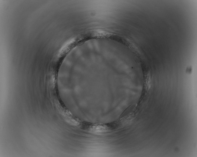 X0000114730716200911121754