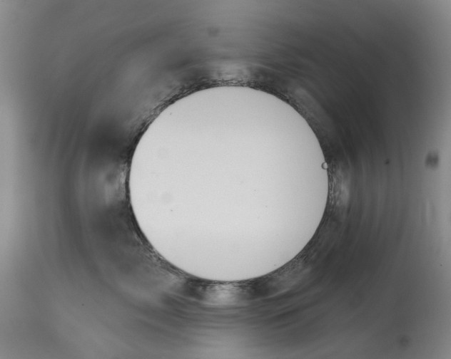 X0000114730717200911121754