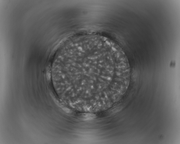 X0000114730719200911121754