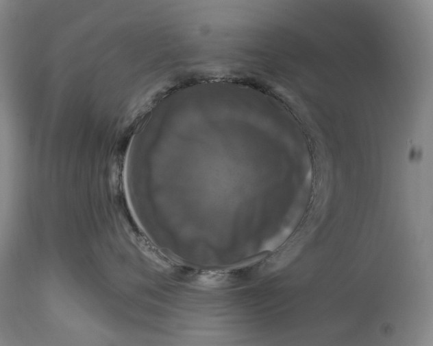 X0000114730720200911121754