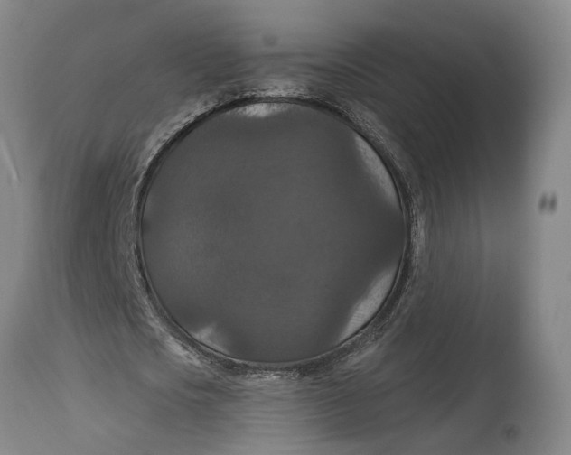 X0000114730721200911121754