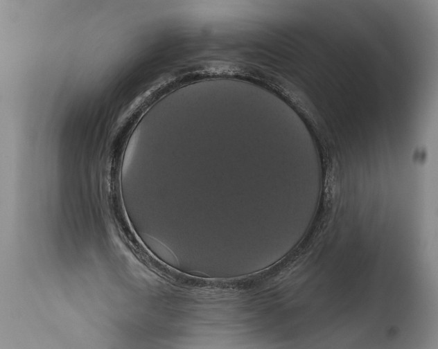 X0000114730722200911121754