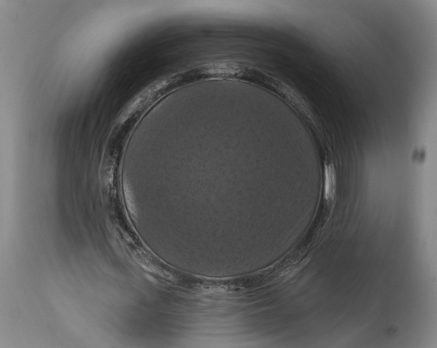 X0000114730723200911121754