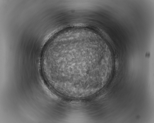 X0000114730725200911121754