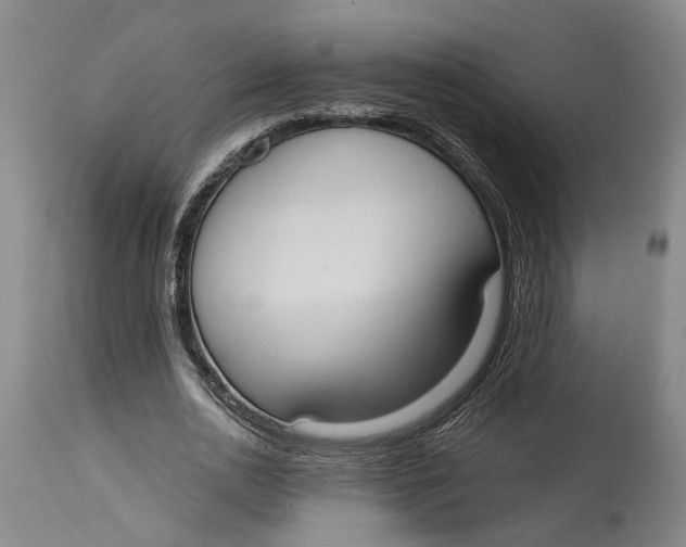 X0000114730726200911121754