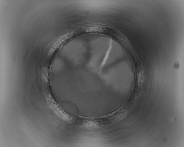 X0000114730729200911121754