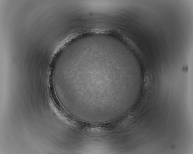 X0000114730730200911121754