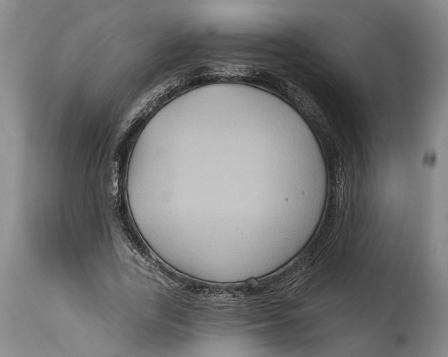 X0000114730731200911121754