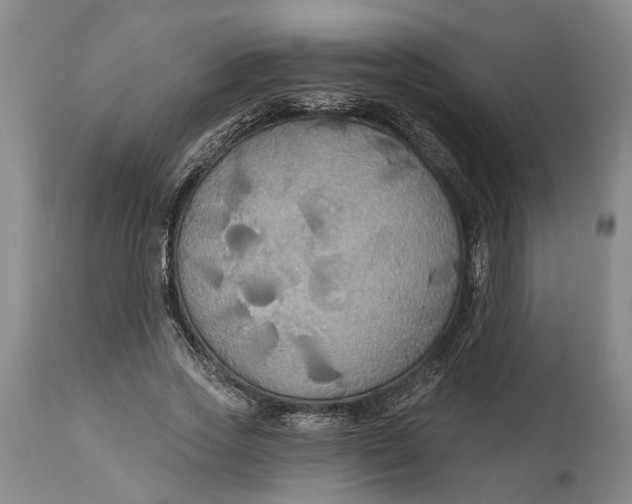 X0000114730733200911121754