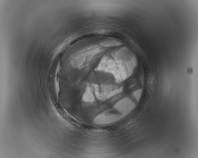 X0000114730734200911121754