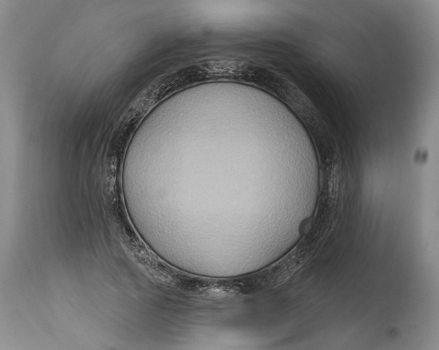X0000114730737200911121754