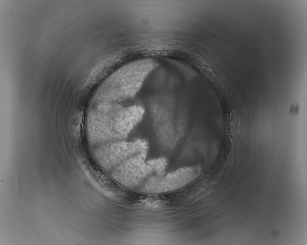 X0000114730742200911121754