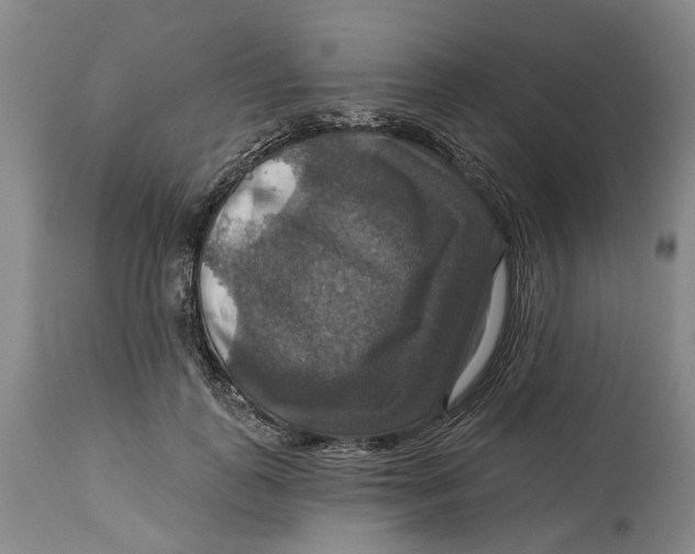 X0000114730747200911121754