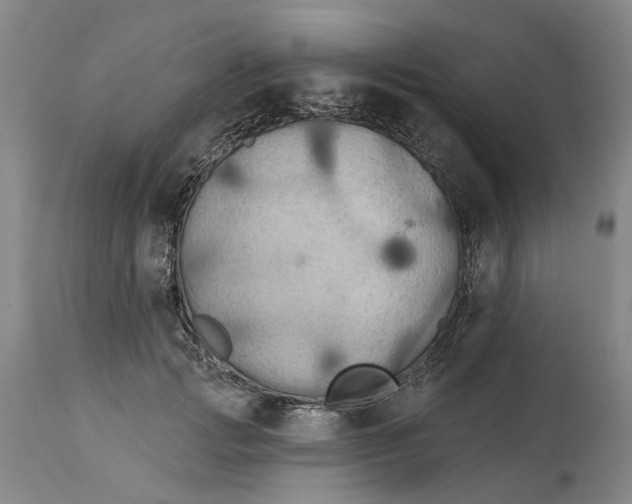 X0000114730749200911121754