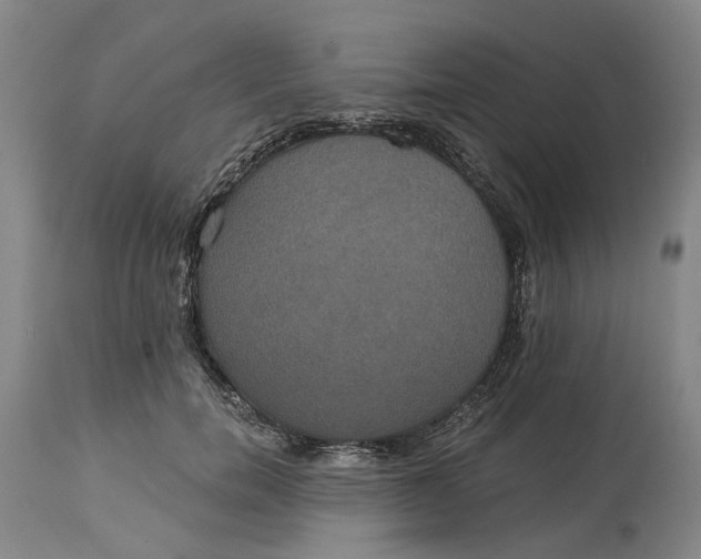 X0000114730750200911121754