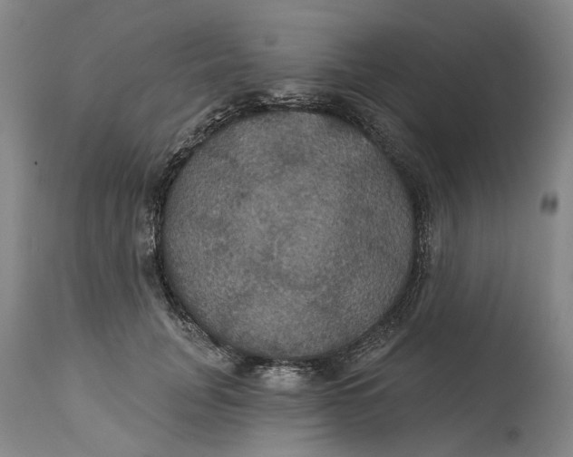 X0000114730751200911121754
