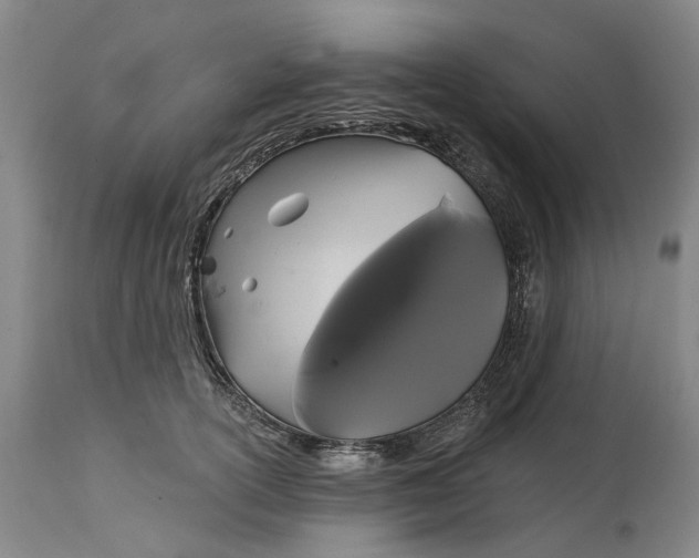 X0000114730754200911121754