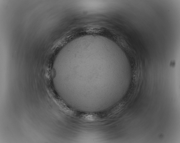 X0000114730755200911121754