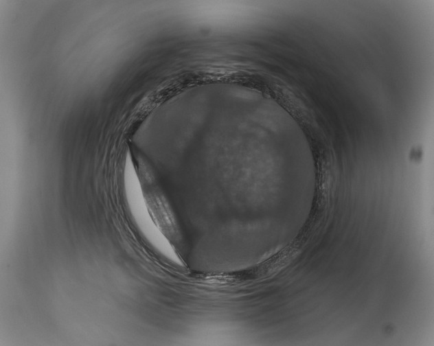 X0000114730758200911121754