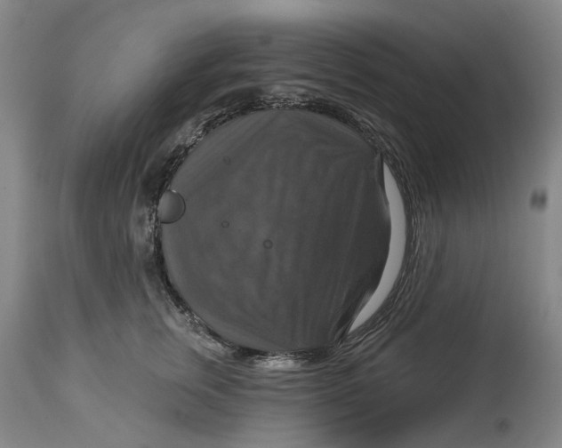 X0000114730759200911121754