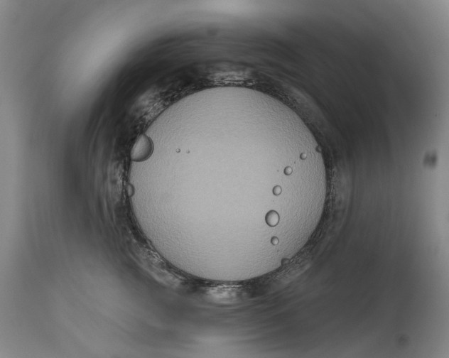 X0000114730761200911121754