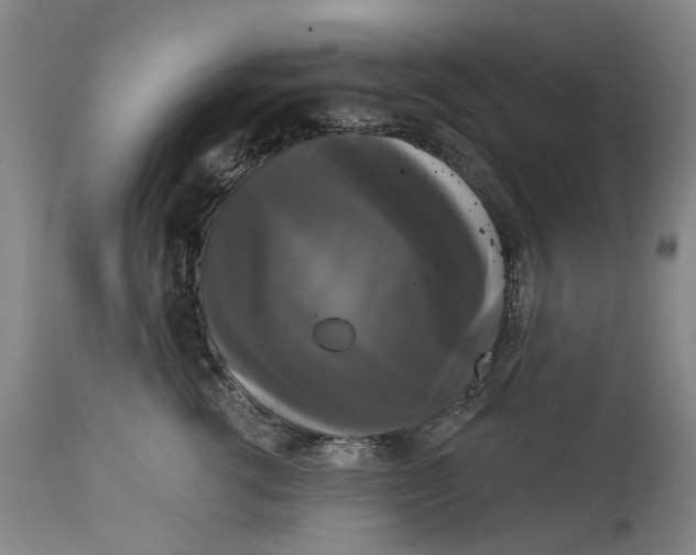 X0000114730762200911121754