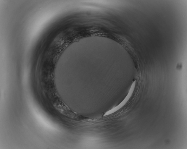 X0000114730763200911121754