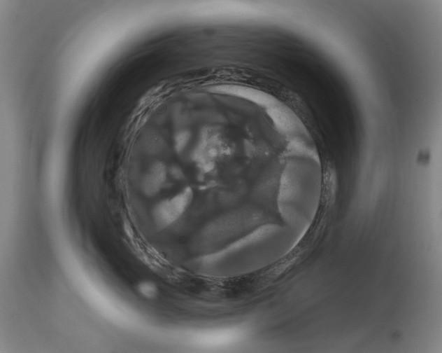 X0000114730765200911121754