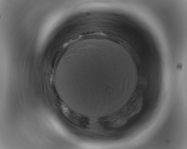 X0000114730766200911121754