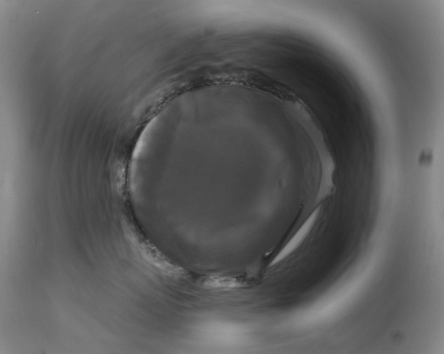 X0000114730767200911121754