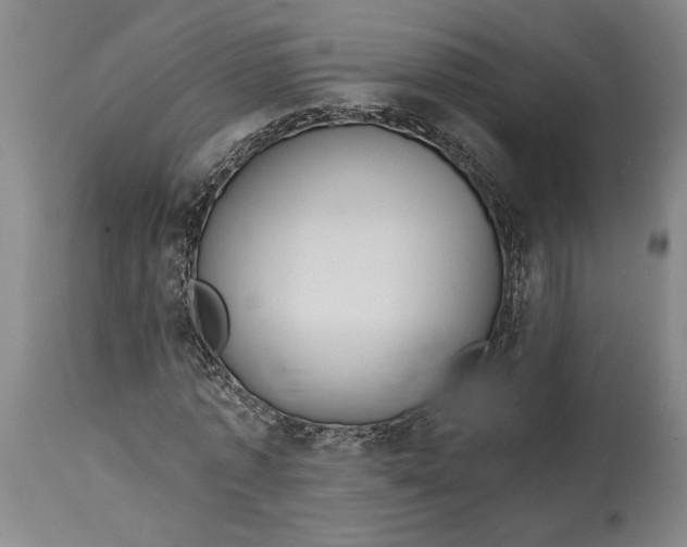 X0000114730773200911121754