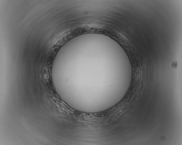X0000114730774200911121754