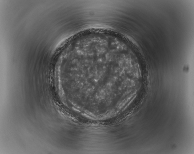 X0000114730775200911121754