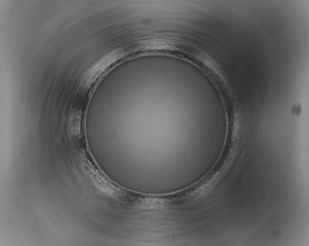X0000114730777200911121754