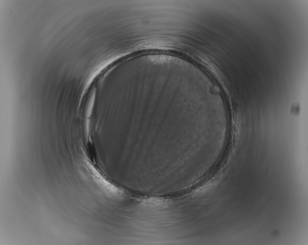 X0000114730779200911121754