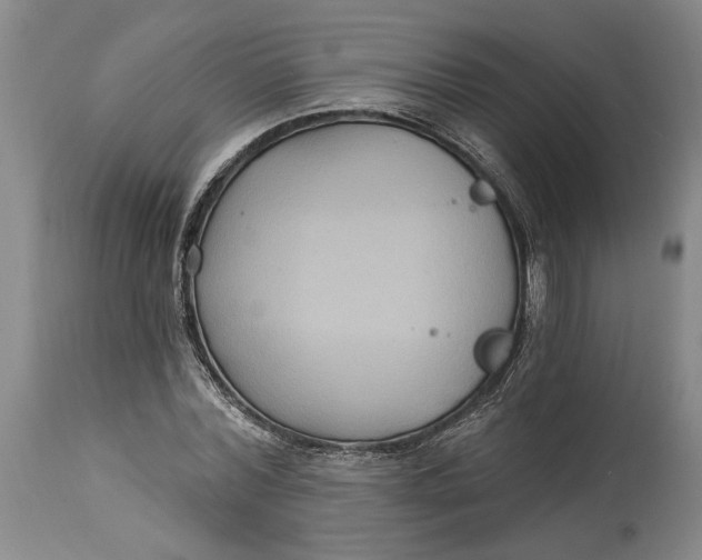 X0000114730780200911121754