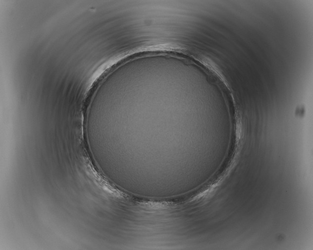 X0000114730781200911121753