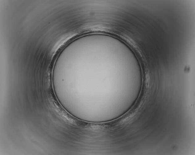 X0000114730782200911121753