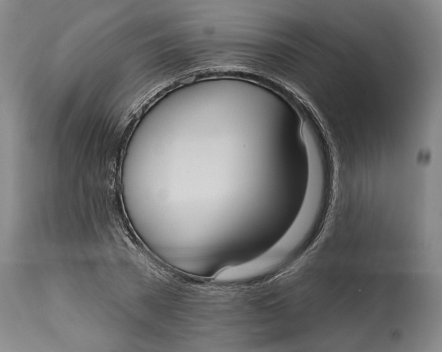 X0000114730785200911121753