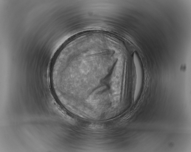 X0000114730788200911121753