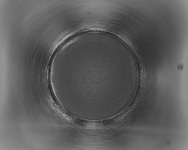 X0000114730790200911121753