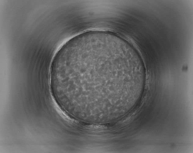 X0000114730795200911121753