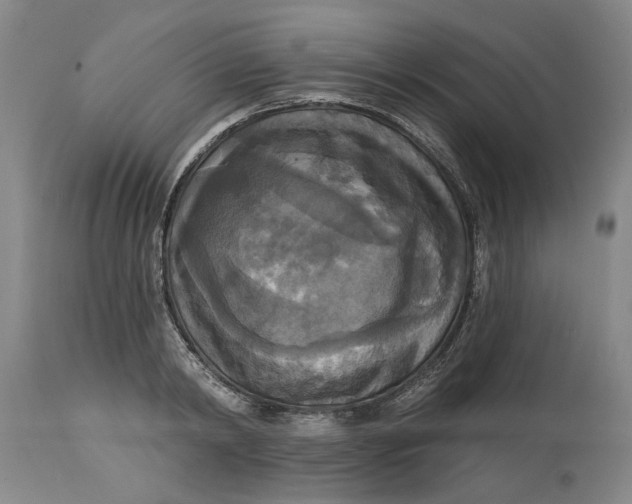 X0000114730798200911121753