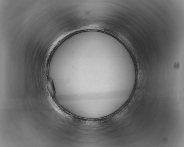 X0000114730800200911121753