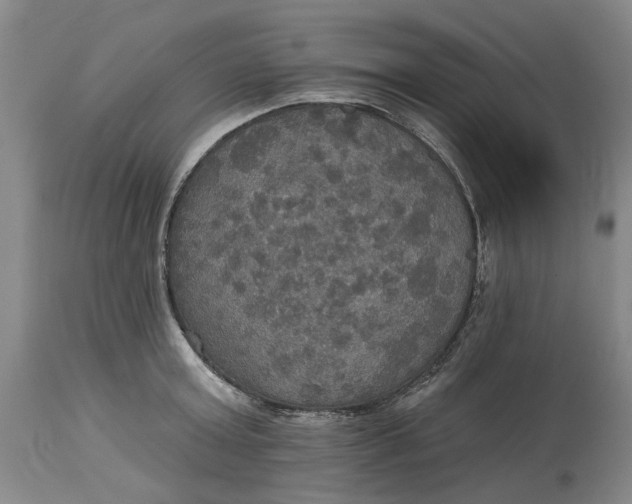 X0000114730803200911121753